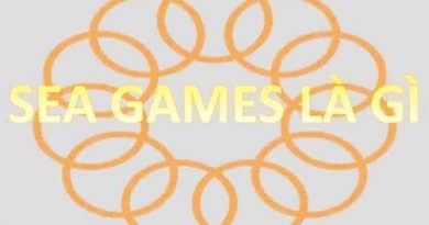 Seagame là gì? Tìm hiểu giải đấu bóng đá tại Sea Games