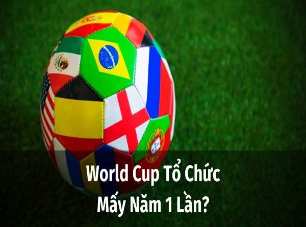 World Cup mấy năm 1 lần? Tìm hiểu giải đấu bóng đá lớn nhất hành tinh