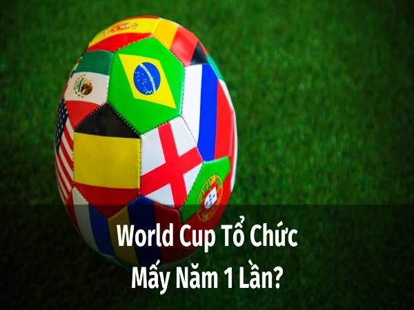 World Cup mấy năm 1 lần? Tìm hiểu giải đấu bóng đá lớn nhất hành tinh