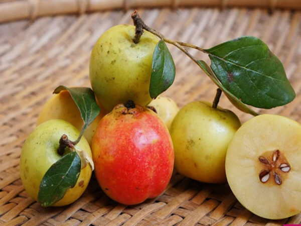 Một quả táo chứa bao nhiêu calo? Ăn táo có tốt không, có tác dụng gì?