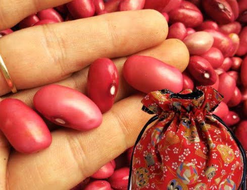 Nằm mộng thấy hạt đậu đỏ là số mấy – Ý nghĩa giấc chiêm bao