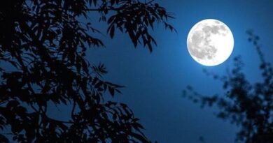 Tìm hiểu ý nghĩa giấc mơ thấy mặt trăng là điềm gì?